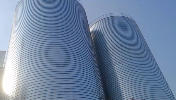 安丘2座混凝土高架卷板仓